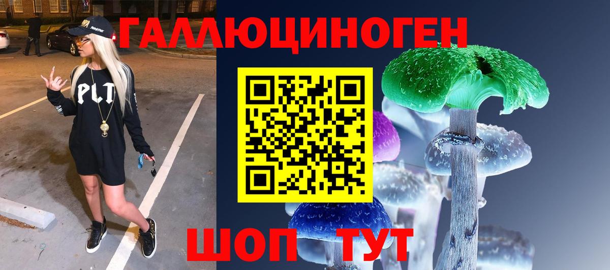 Северск  Галлюциногенные грибы Psilocybe  купить закладку  Вход с VPN  Галлюциногенные грибы MAGIC MUSHROOMS 