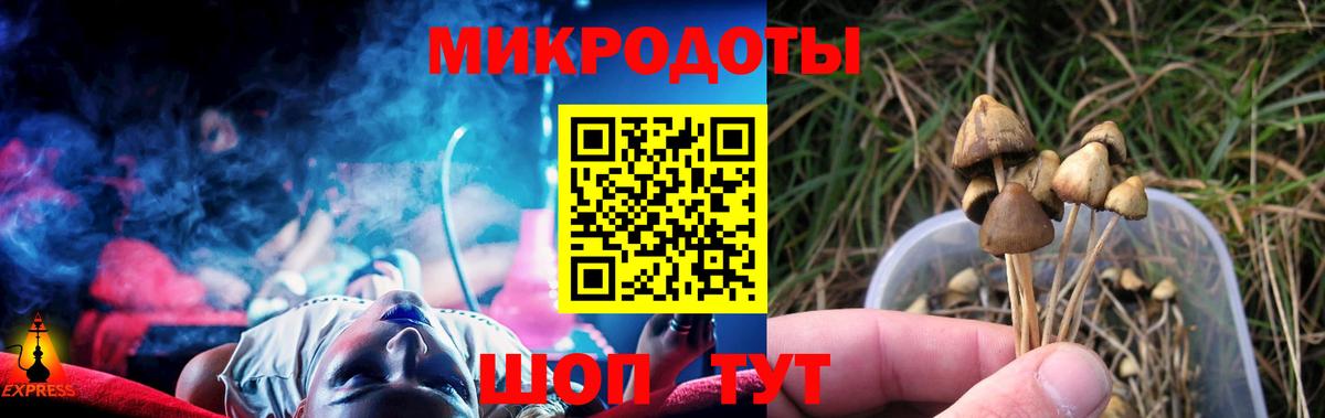 Галлюциногенные грибы Magic Shrooms Северск